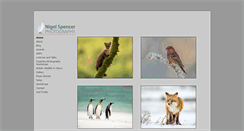 Desktop Screenshot of nigelspencer.co.uk