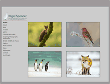 Tablet Screenshot of nigelspencer.co.uk